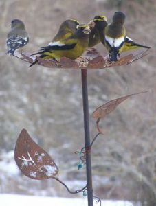Standing seed feeder
